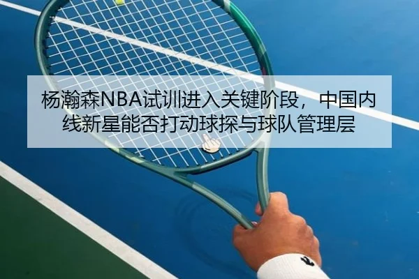 杨瀚森NBA试训进入关键阶段，中国内线新星能否打动球探与球队管理层